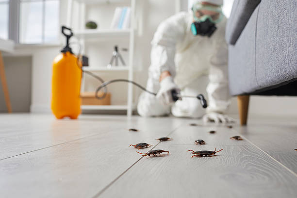 Trusted Termite Control service in New Beaver, PA - Nex Pest Control