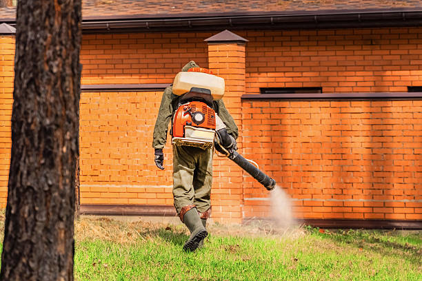 Trusted Emergency Pest Control service in New Beaver, PA - Nex Pest Control